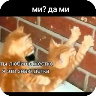 Sticker from амфетаминовый шик