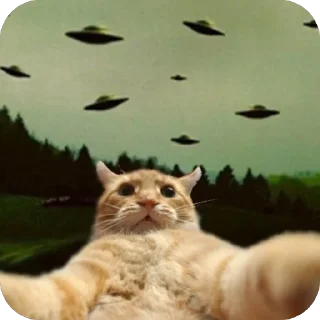 🫂 emoji амфетаминовый шик Telegram sticker 10 of 39