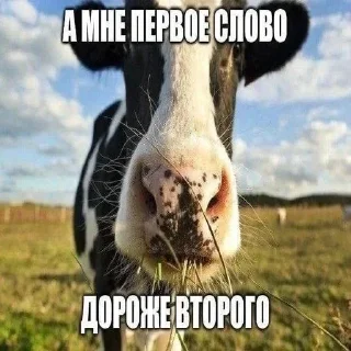 😉 emoji Больше стикеров → @funny_stickerss Telegram sticker 5 of 43
