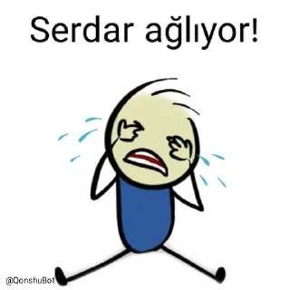 😭 emoji Serdar @Qonshubot Telegram sticker 14 of 31