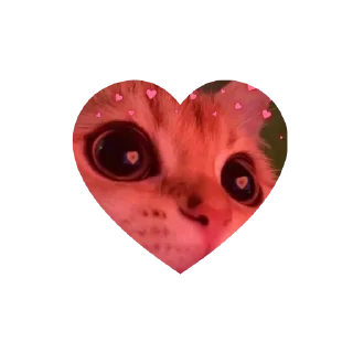 Sticker from kitties love @tgstikks @iamideas @TgEmojis_bot