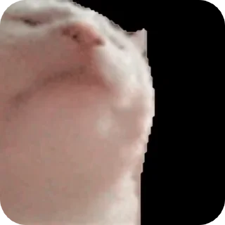 Sticker from Ответы на сообщения