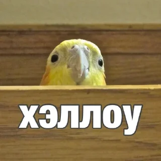 Sticker from Стикеры тут: @stikeryv