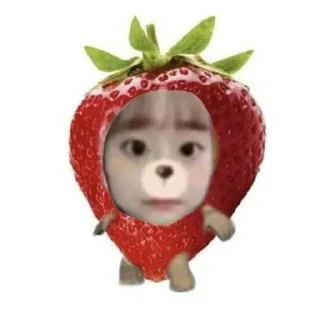 Sticker from Чу клубника🍓 @Stikerhi_bot