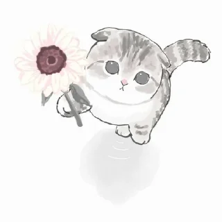 🌟 emoji Котик!! 💓 Telegram sticker 18 of 47