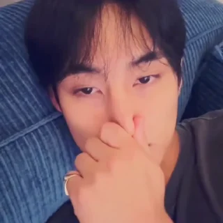 🪨 emoji “   @li3yb   —   mingyu    . Telegram sticker 13 of 85