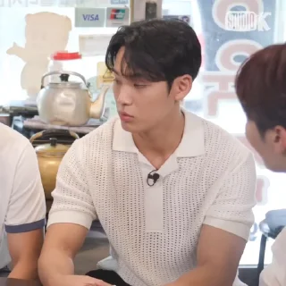 Sticker from “   @li3yb   —   mingyu    .