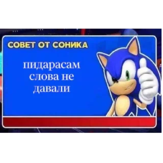 🖕 emoji СОВЕТ ОТ СОНИКА👍 Telegram sticker 14 of 19
