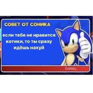 🖕 emoji СОВЕТ ОТ СОНИКА👍 Telegram sticker 13 of 19