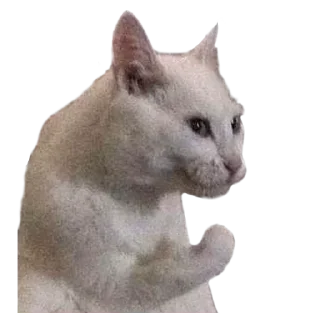 Sticker from Mash's Pack