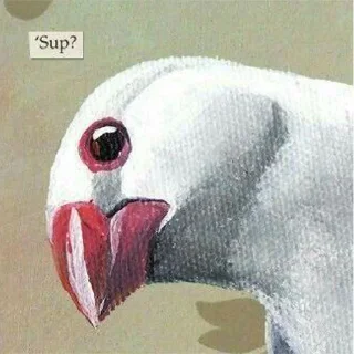Sticker from Disturbing Birds