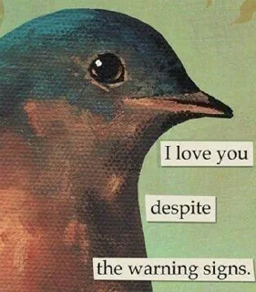 Sticker from Disturbing Birds