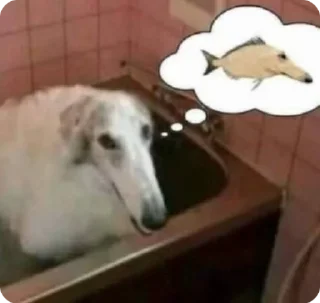 Sticker from BORZOI🥖