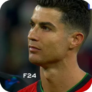 Sticker from verdad de la fifa
