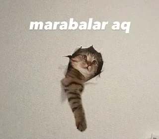 🌟 emoji @Mertadmiinn @AsenaUserBot Paketi 3 Telegram sticker 6 of 96