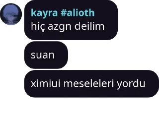 Sticker from erdilin dız paketi 11