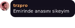 Sticker from erdilin dız paketi 7