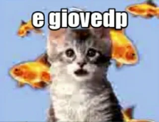 🎤 emoji gatti molto belli davvero sono serio Telegram sticker 6 of 85