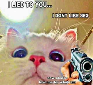 🔫 emoji gatti molto belli davvero sono serio Telegram sticker 24 of 85