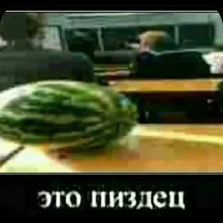 Sticker from сборник мемов by:@n_oso4ek