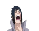 😂 emoji Shish è pazzo Telegram sticker 11 of 48
