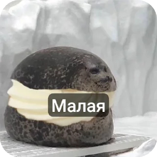 Sticker from Сигмы