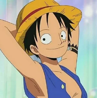 Sticker from `Monkey D. Luffy