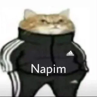 🤔 emoji @benemirrr @AsenaUserBot Paketi 1 Telegram sticker 5 of 71
