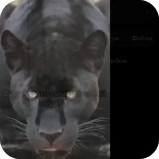 🫥 emoji Наташа слэй от завертина @TgEmodziBot Telegram sticker 10 of 10