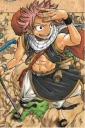 😀 emoji Natsu Telegram sticker 9 of 34