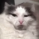 😐 emoji Mozh II Telegram sticker 9 of 101