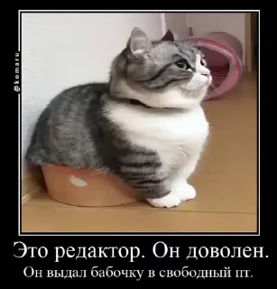 🌟 emoji Lounge | Ветка креативов Telegram sticker 6 of 92