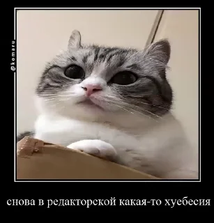 🌟 emoji Lounge | Ветка креативов Telegram sticker 1 of 92