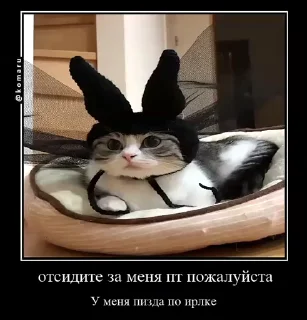 🌟 emoji Lounge | Ветка креативов Telegram sticker 15 of 92
