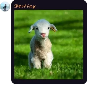 🐑 emoji Destiny Daisy Telegram sticker 6 of 46