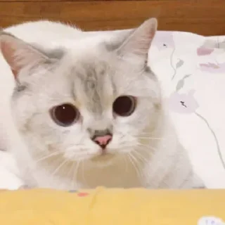 Sticker from Nana