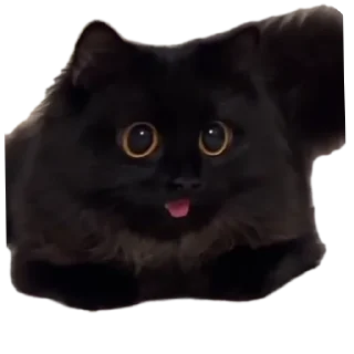 😛 emoji Roba a caso Telegram sticker 21 of 111