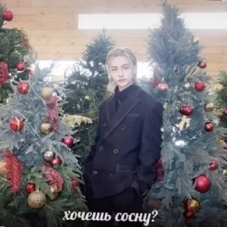 😄 emoji бродячие дети Telegram sticker 13 of 33