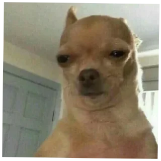 😐 emoji mood by P Telegram sticker 17 of 120