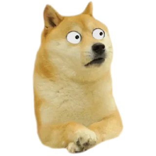 😳 emoji DOGE @StickersPackRobot Telegram sticker 15 of 36