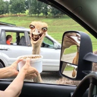 😳 emoji @Stickers_official | میم Telegram sticker 21 of 106