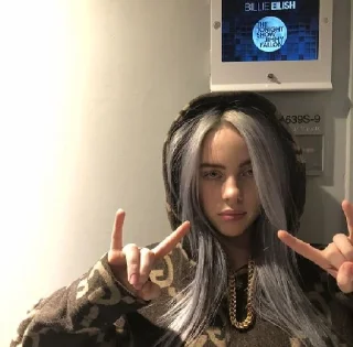 🚯 emoji -billie eilish• Telegram sticker 23 of 77