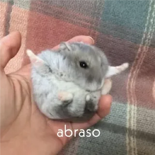 Sticker from Cereal 🥣