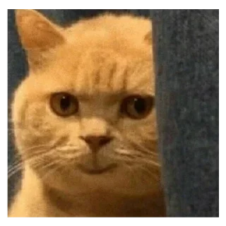 😐 emoji mood by P Telegram sticker 18 of 120