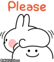 🙏 emoji @MHStickers Spoiled Rabbit Simple Talk Telegram sticker 19 of 41