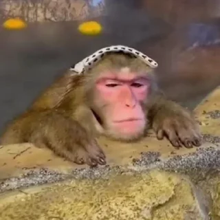🛀 emoji Mono 2 Telegram sticker 15 of 57