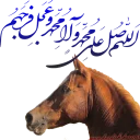 🙌 emoji Kurdish horse Telegram sticker 22 of 38