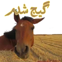 😲 emoji Kurdish horse Telegram sticker 8 of 38