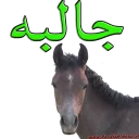 👍 emoji Kurdish horse Telegram sticker 5 of 38