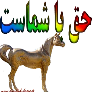 👆 emoji Kurdish horse Telegram sticker 14 of 45